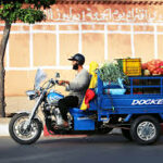 triporter