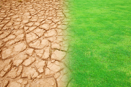 cop 21